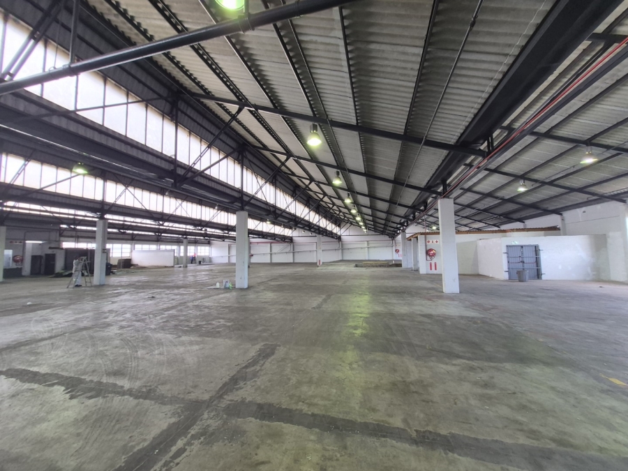 To Let Commercial Property for Rent in Paarden Eiland Western Cape